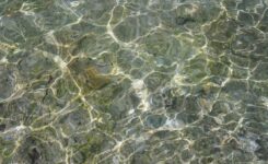 water reflection